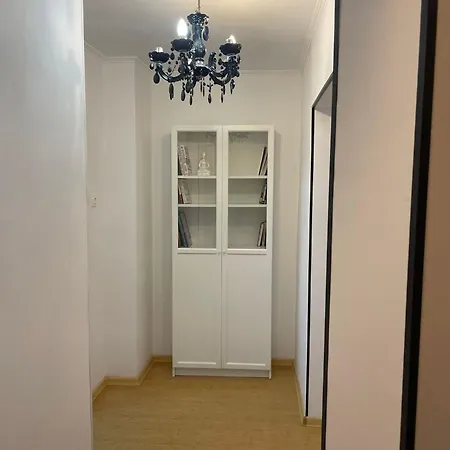 Studio * 布加勒斯特